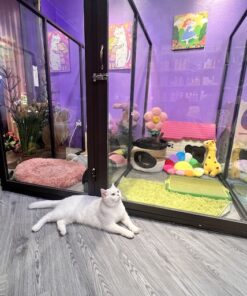 Tắm Spa (Full) 6 bước trọn gói