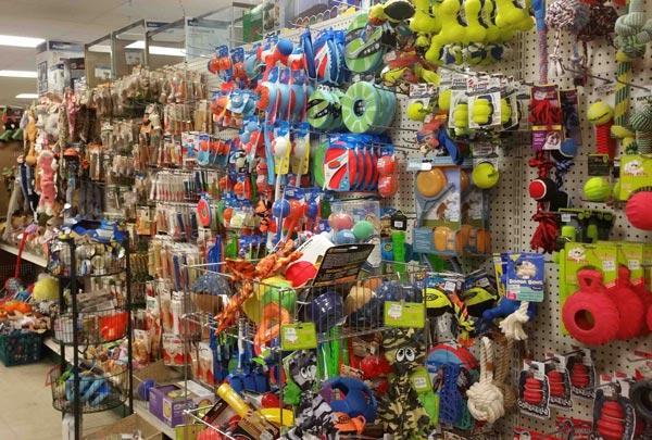 Káº¿t quáº£ hÃ¬nh áº£nh cho phá»¥ kiá»n cho thÃº cÆ°ng