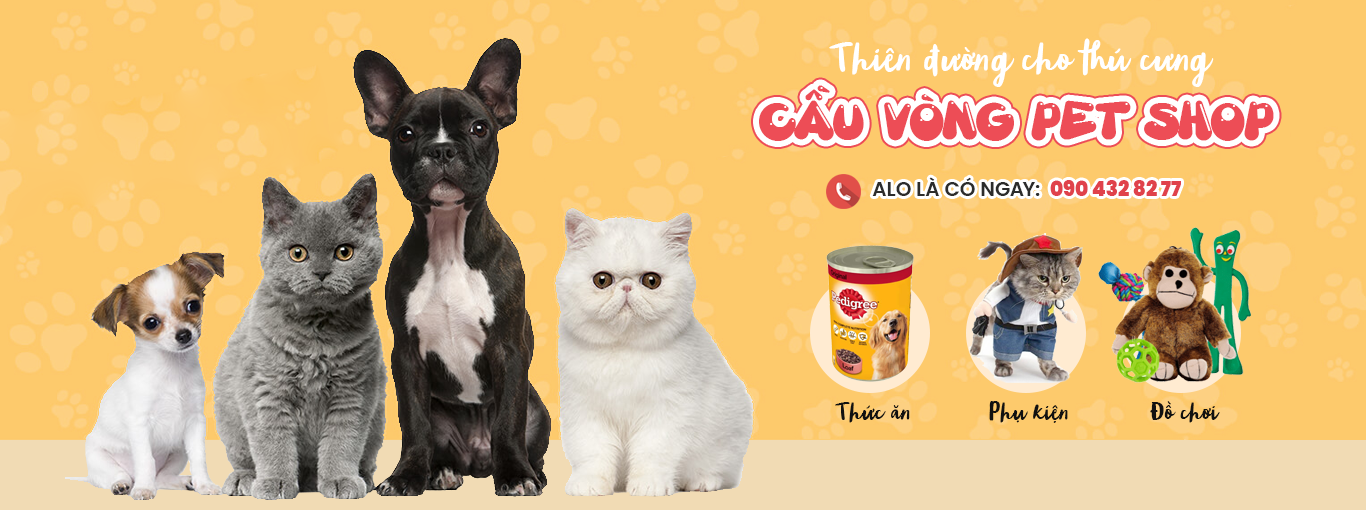 Shop thú cưng gần đây Top 11 cửa hàng uy tín và chất lượng nhất