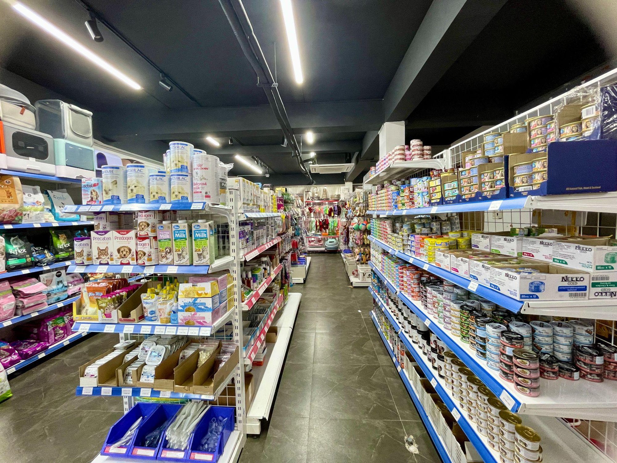 Shop thú cưng gần đây Top 11 cửa hàng uy tín và chất lượng nhất